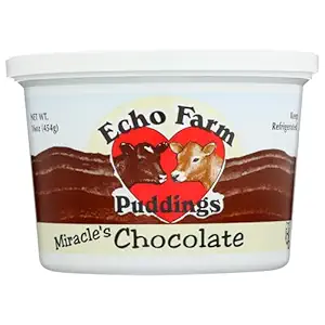 Chocolate Pudding, 16 OZ