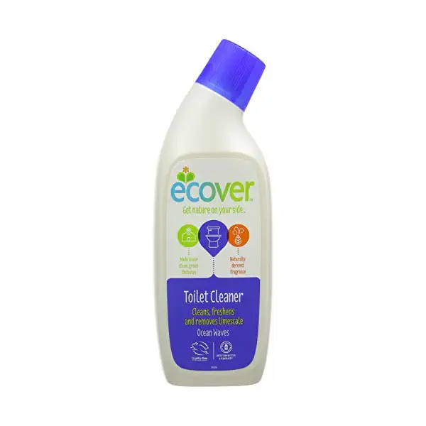 Toilet Cleaner 1