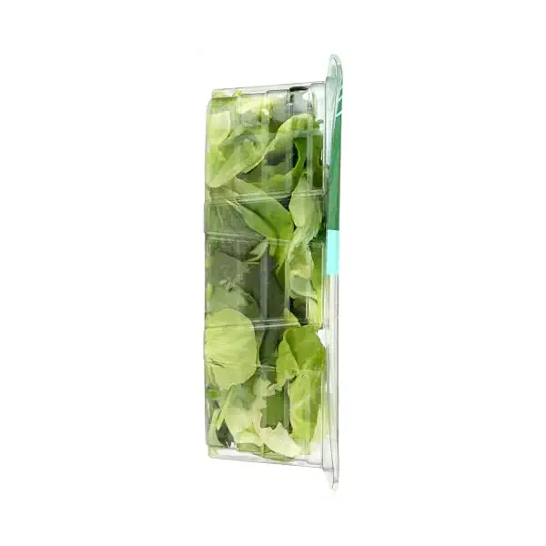 Spring Blend Clam, 4 OZ 6