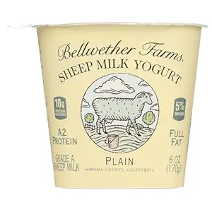 Plain Sheep Milk Yogurt, 6 OZ