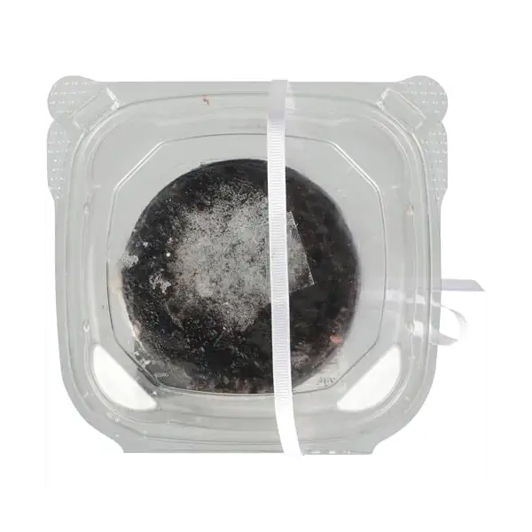 Double Chocolate Cake 4in 2