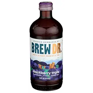 Organic Blackberry Trails Kombucha, 14 FZ