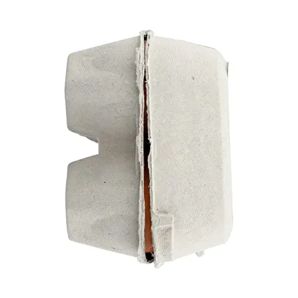 Organic Extra Large Grade A Eggs, 12 CT 6