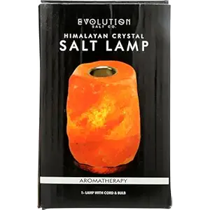 Aromatherapy Crystal Salt Lamp, 1 EA