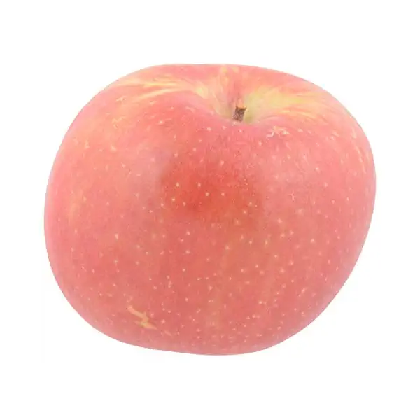 Fuji Apple 1
