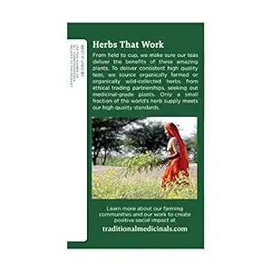 Organic Ginger Tea, 16 CT