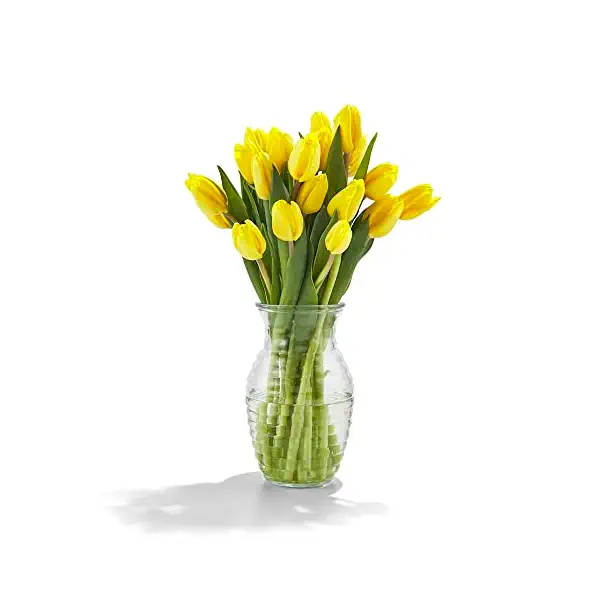 Tulips in Vase Arrangement 1