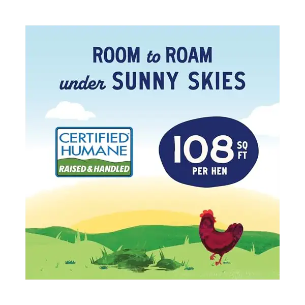 Organic Large Grade A Pasture Raised Eggs 12ct, 12 CT 5