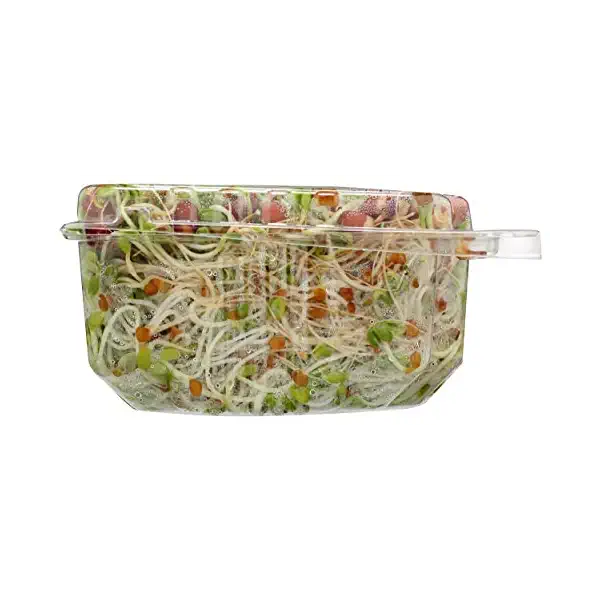 All Natural Moon Salad 6