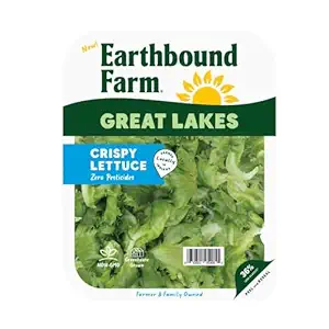 Crispy Lettuce Salad, 4 OZ