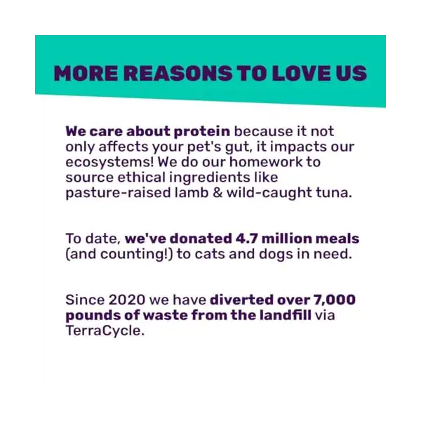 Stir and Boom Freeze Dried Raw Free Turkey Dry Dog Food, 1 LB 5