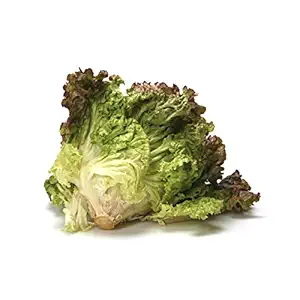 Organic Red Leaf Lettuce
