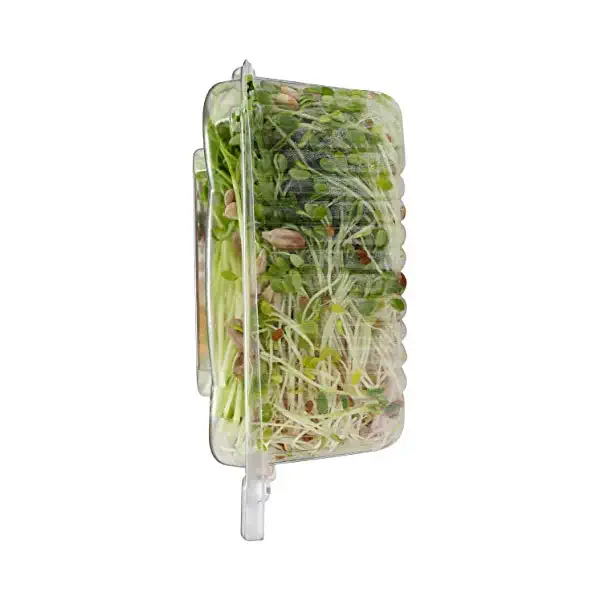 All Natural Nutty Salad 4