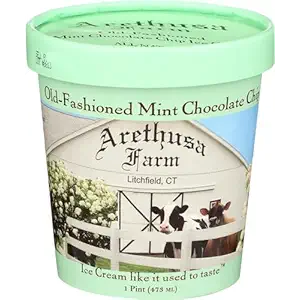 Mint Chip Ice Cream, 1 PT