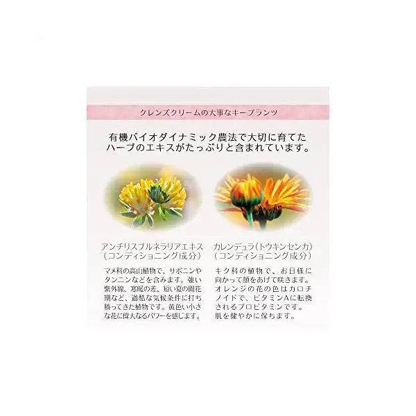 Cleansing Cream 11