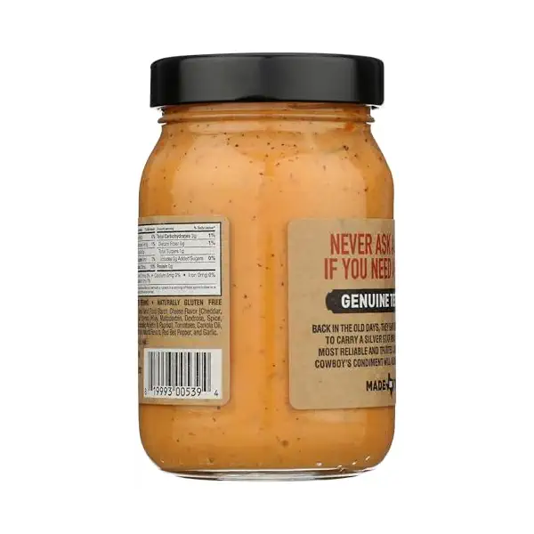 Chipotle Queso Dip 2