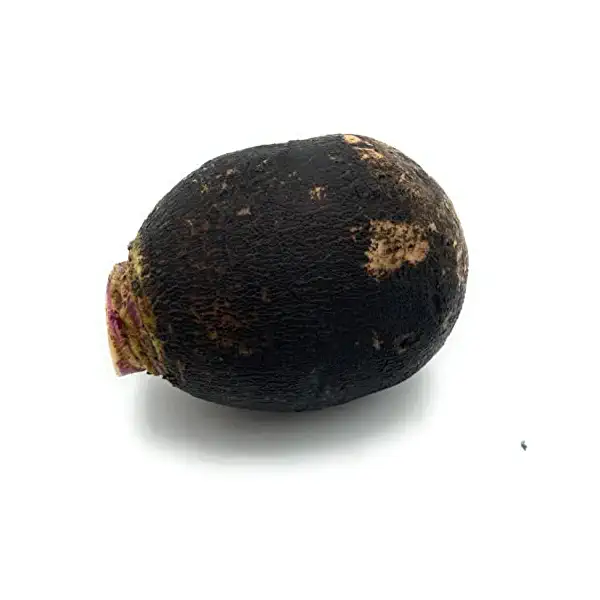 Black Radish 3