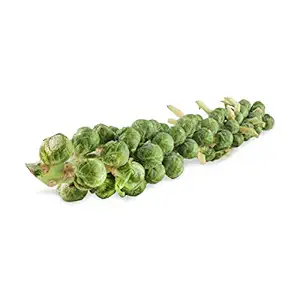 Brussels Sprouts Stalk