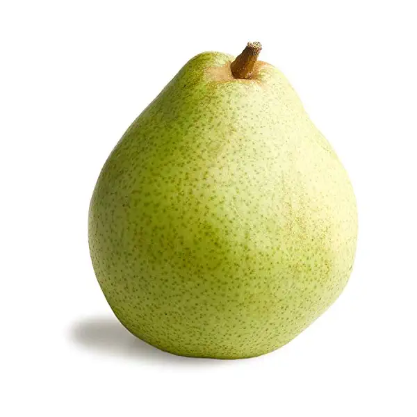 Comice Pear 1