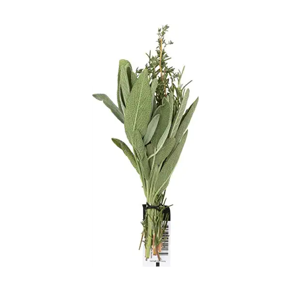 Organic Poultry Herb Mix, 3 OZ 1