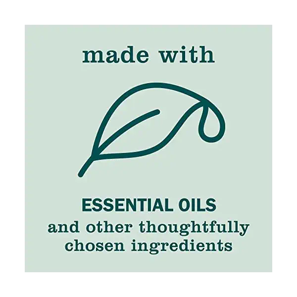 Birchwood Hand Soap, 12.5 OZ 5