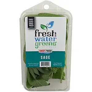 Hydroponic Sage, 0.75 OZ