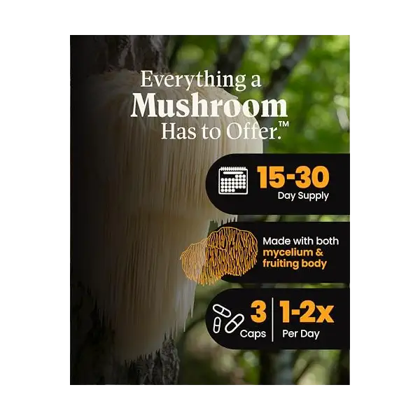 Organic Lion's Mane Reishi Blend, 90 CT 3