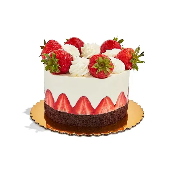 Chocolate Strawberry Shortcake 6in 1