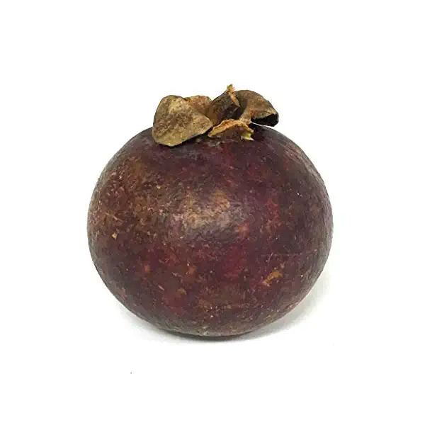 Mangosteen 1