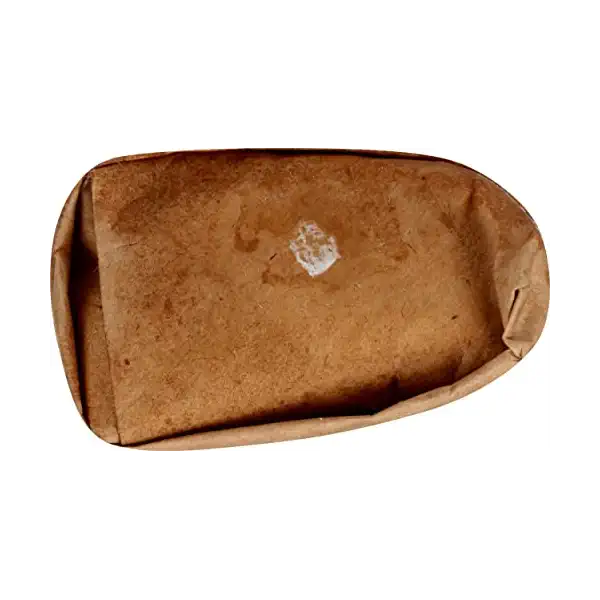 Wild Thing Sandwich Buzzito 5