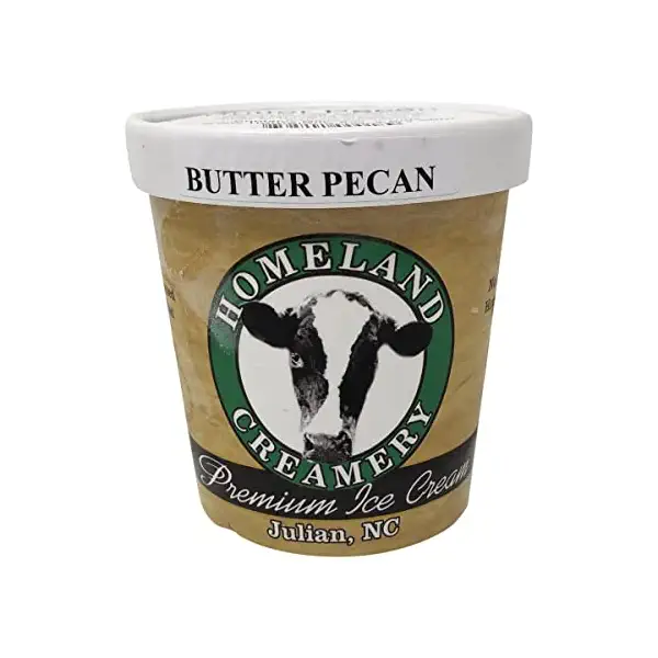Butter Pecan Ice Cream 1