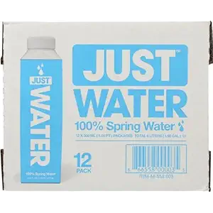 Spring Water 12 Pack, 16.9 FZ