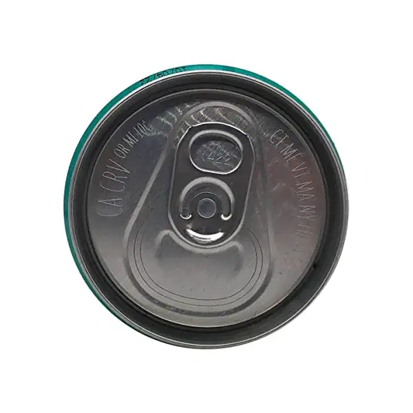 Organic Ginger Fizz Prebiotic Pop Single, 12 FZ 4