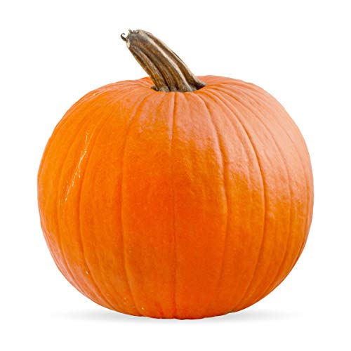☆pumpkin pie☆様　専用 51C194u9MsL.jpg_BO30,255,255,