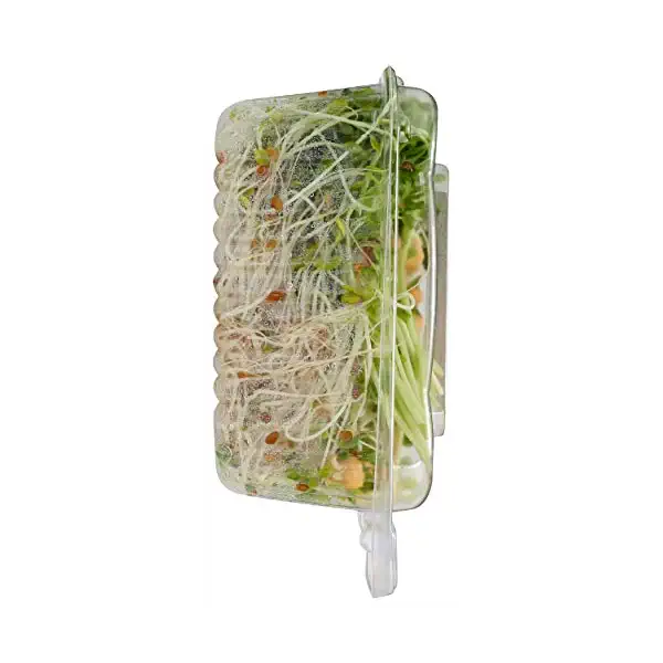 All Natural Nutty Salad 3