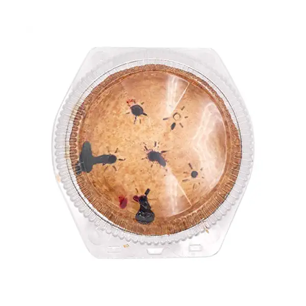 Blueberry Pie 9 Inch 4