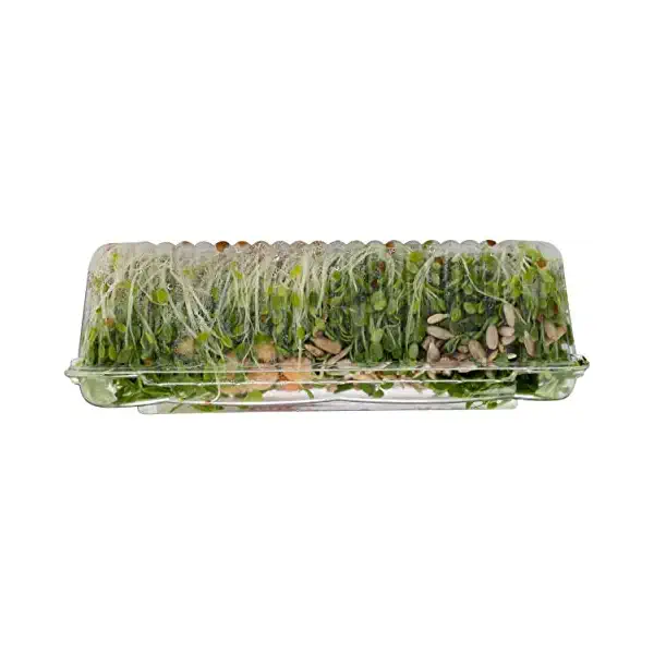 All Natural Nutty Salad 5