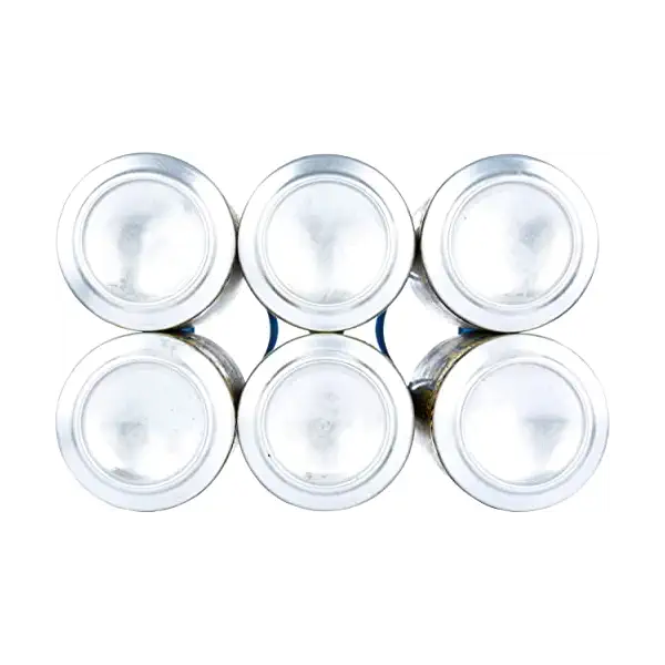 American Pilsner 6pk 6