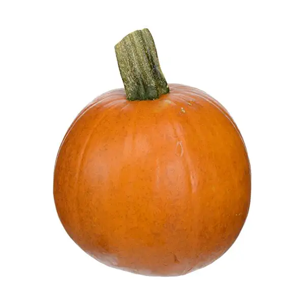 Pumpkin Pie Squash 1