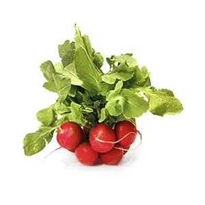 Organic Red Radish Bunch