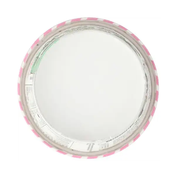 Mint Chocolate Chip Ice Cream 8