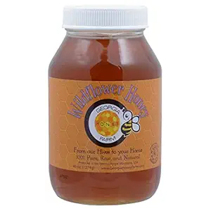 Georgia Wildflower Honey, 45 OZ