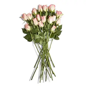 Rose 16 Stem, 1 EA
