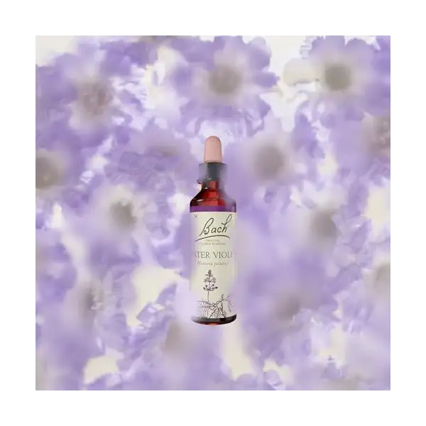 Water Violet 2