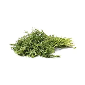 Organic Dill Bunch