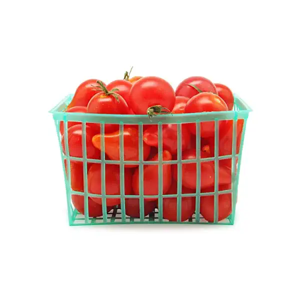 Organic Pink Cherry Tomatoes 1
