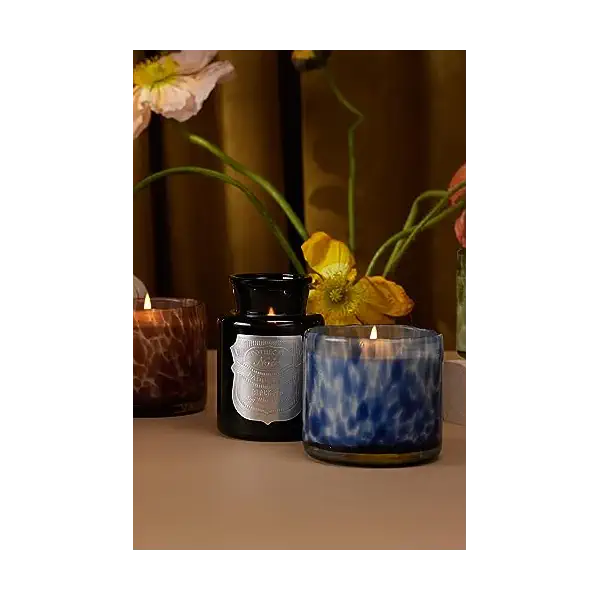 Black Fig Black Glass Vessel with Lid 2