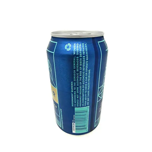 Villager IPA Can Sgl 2