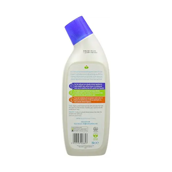 Toilet Cleaner 2