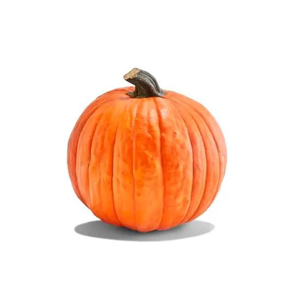 Large Carving Pumpkin 1